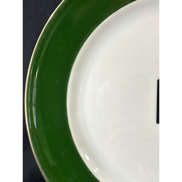 Dudson Duraline Finest Vitrified Stoke on Trent 12.75" Charger/Dinner Plate - Picture 3 of 11